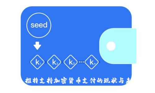 ### 推特支持加密货币支付的现状与未来展望