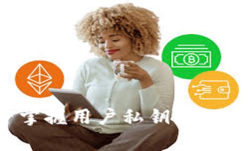 TP钱包官方是否掌握用户私钥？全面解析与安全策略