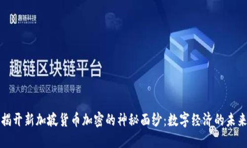 揭开新加坡货币加密的神秘面纱：数字经济的未来