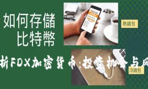 深入解析FDX加密货币：投资机会与风险评估