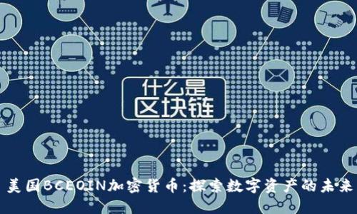 美国BCEOIN加密货币：探索数字资产的未来