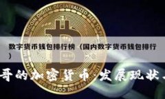  探索墨西哥的加密货币：