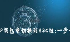 如何在TP钱包中切换到BS