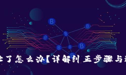 TP钱包充错地址了怎么办？详解纠正步骤与避免误操作技巧