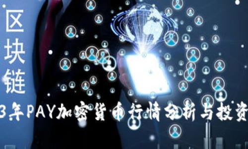 2023年PAY加密货币行情分析与投资指南