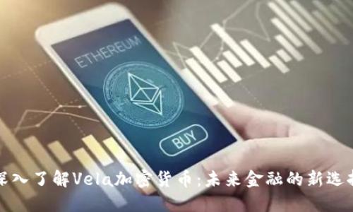 深入了解Vela加密货币：未来金融的新选择