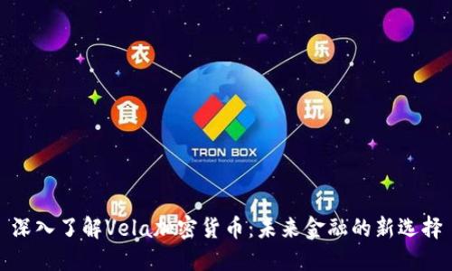 深入了解Vela加密货币：未来金融的新选择