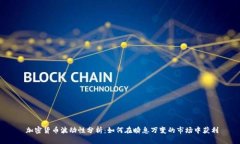   加密货币波动性分析：如