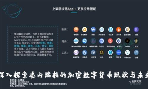 深入探索委内瑞拉的加密数字货币现状与未来