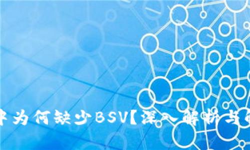 TP钱包中为何缺少BSV？深入解析与解决方案