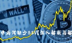 TP钱包中为何缺少BSV？深入
