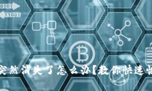 TP钱包里的币突然消失了怎么办？教你快速恢复与预防技巧