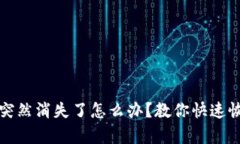 TP钱包里的币突然消失了怎