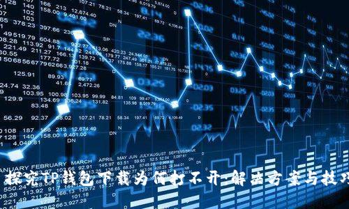  探究TP钱包下载为何打不开：解决方案与技巧