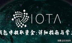 如何从TP钱包中提取资金：