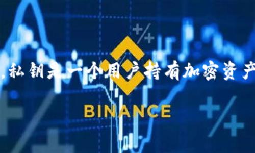 导入私钥是区块链钱包中一个重要的操作，尤其是在使用TP钱包（TokenPocket）这一类数字资产钱包时。私钥是一个用户持有加密资产的关键，它能让用户对自己的资产进行完全控制。以下是关于“tp钱包导入私钥是什么意思”的详细介绍。

TP钱包导入私钥的意义和操作解析