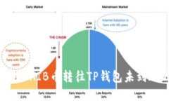 如何处理SHIB币转往TP钱包