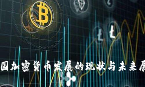 中国加密货币发展的现状与未来展望