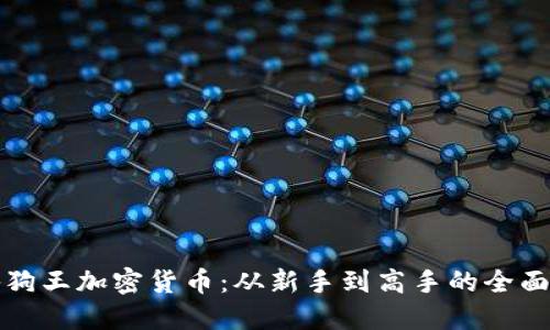 揭秘狗王加密货币：从新手到高手的全面指南