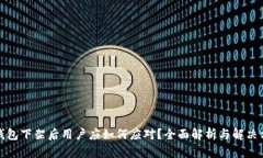 TP钱包下架后用户应如何应对？全面解析与解决方