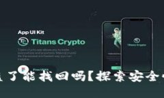TP钱包币被盗了能找回吗？探索安全性与应对措施