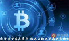 加密货币下半年展望：机遇与挑战并存的市场分