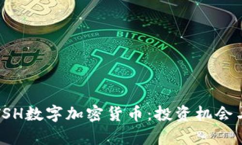 深度解析TSH数字加密货币：投资机会与市场前景